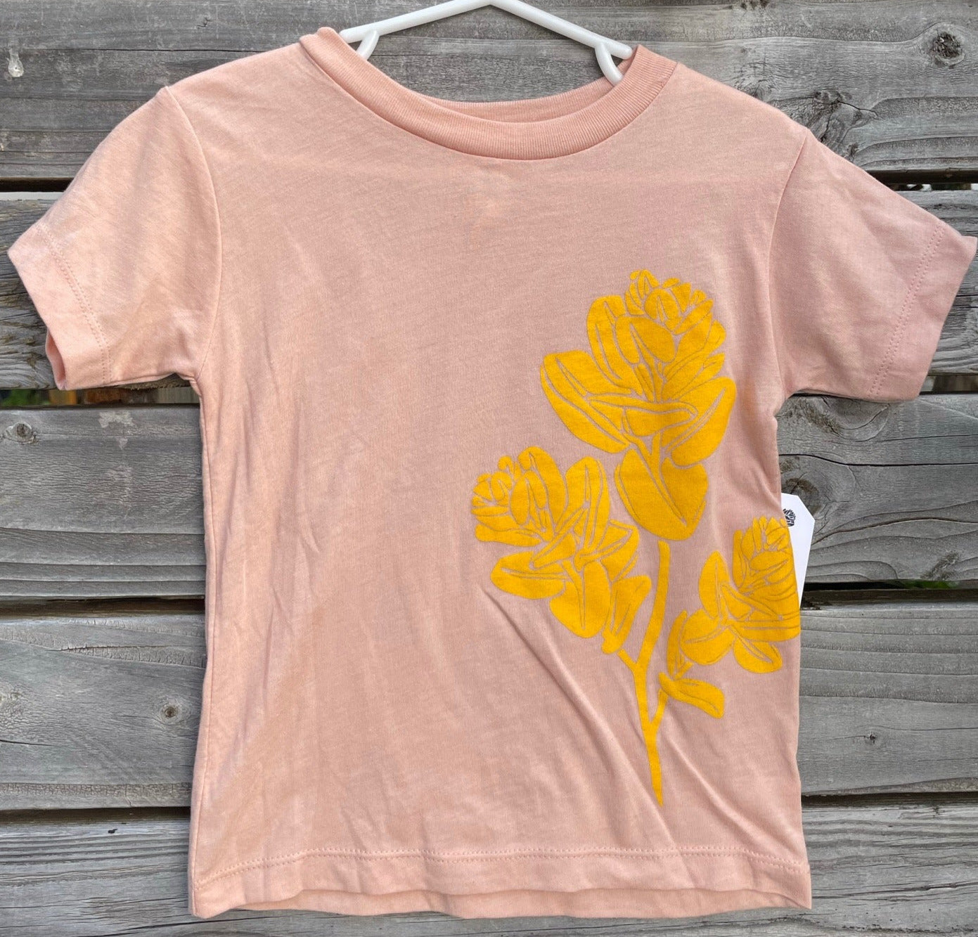 Toddler Ts (Peach)